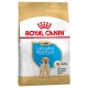 Royal Canin Labrador Retriever PUPPY - за кучета порода лабрадор на възраст от 1 до 15 месеца 12 кг.